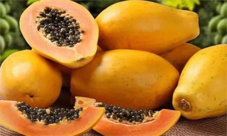 पीपेते का बीज किसी वरदान से कम नहीं, जानिए कैसे