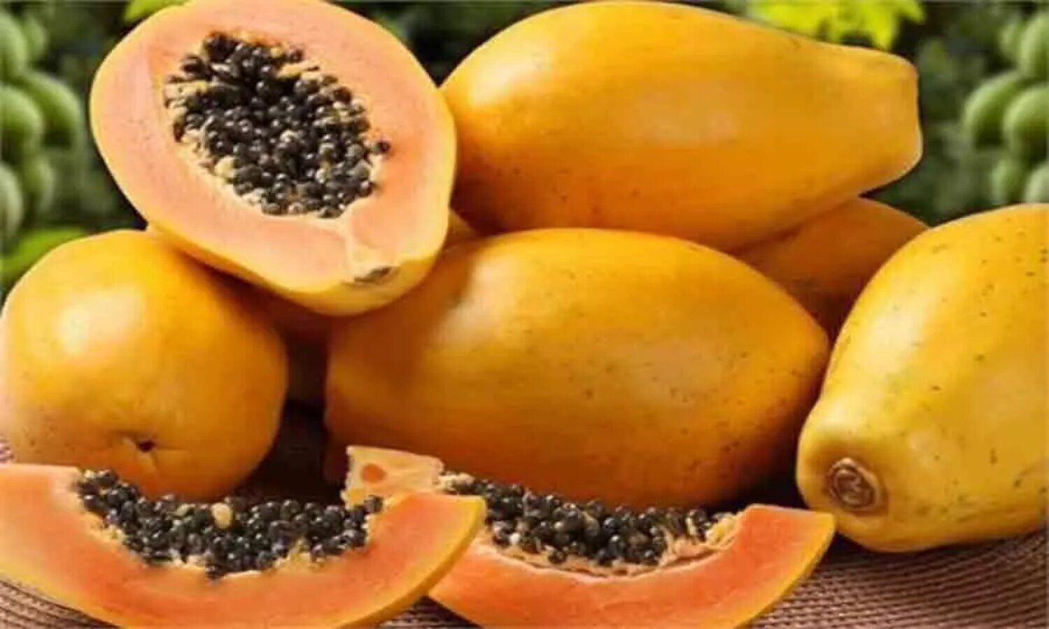 1257017 health benefits of papaya