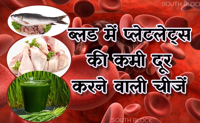 Platelets blog image