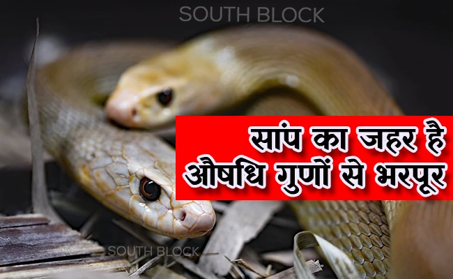 Snake Poison Benefit