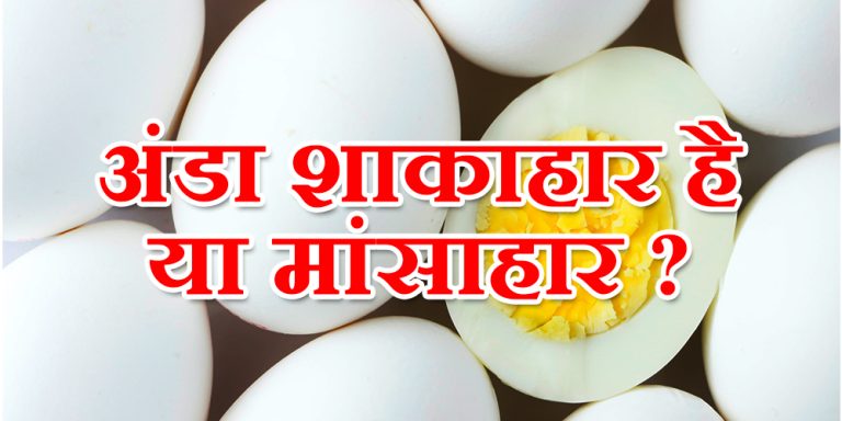 Egg is Vegetarian or Non-Vegetarian :