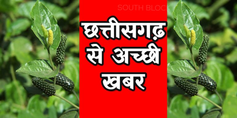 नामुमकिन कुछ भी नहीं, छत्तीसगढ़ के किसानों ने किया कमाल