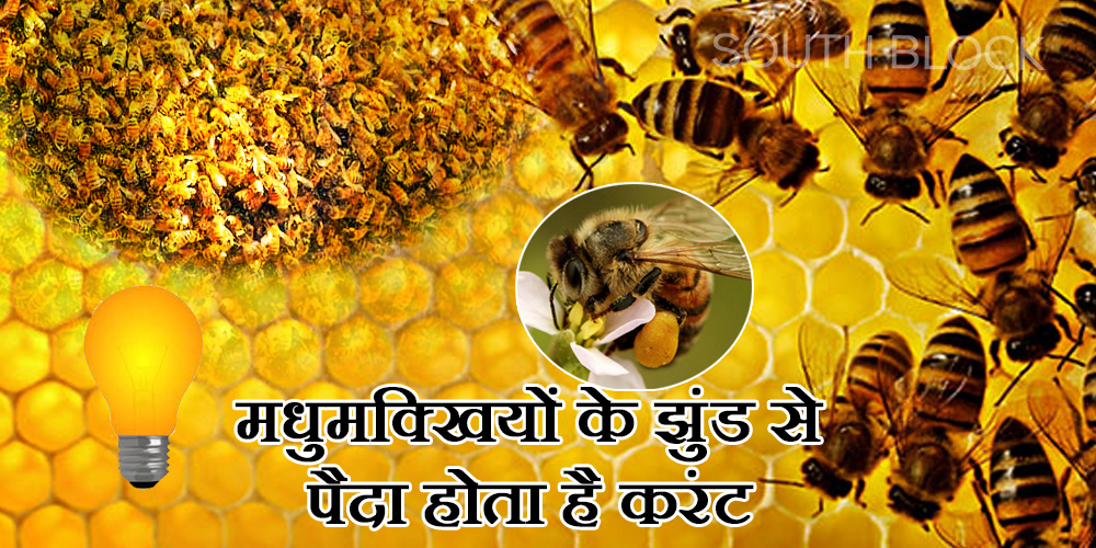 Honeybee Electricity
