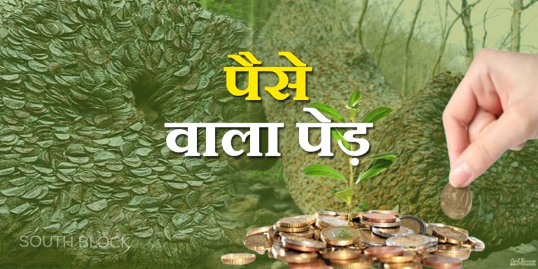 money tree