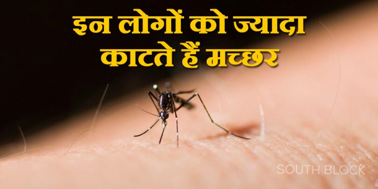 इन लोगों को ज्यादा काटते है मच्छर, जाने कारण