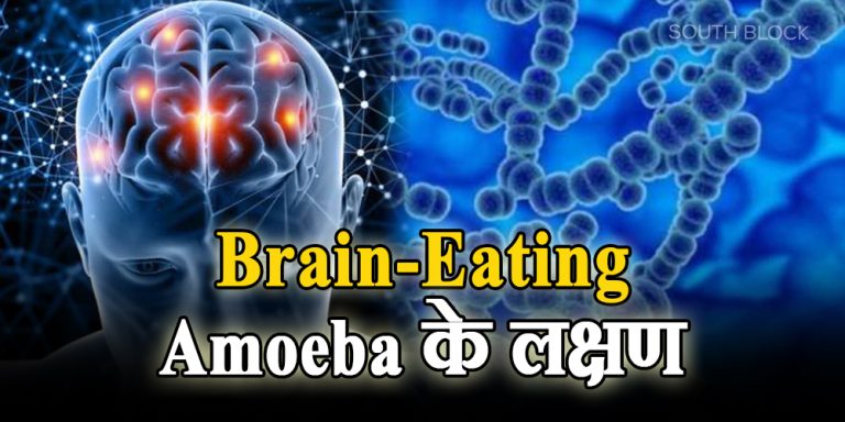 Brain-Eating Amoeba