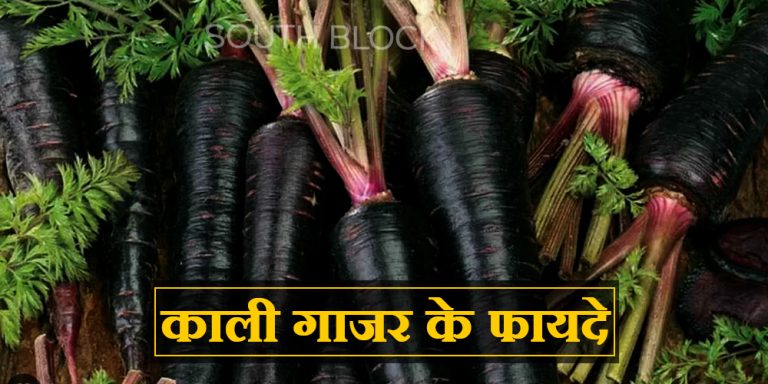 Black Carrot Benefits