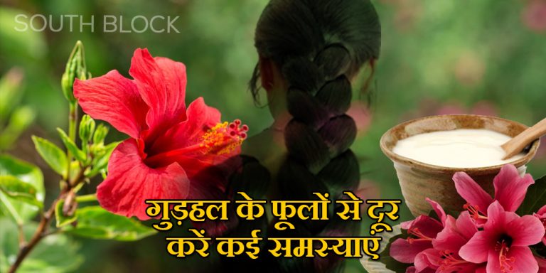 Hibiscus For Hair Growth