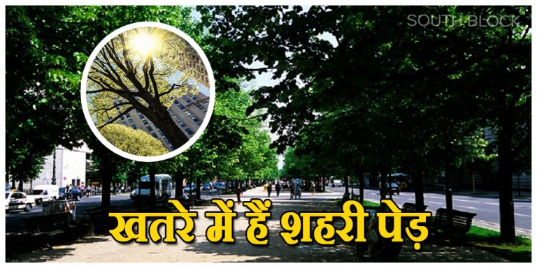 Climate Change Effect