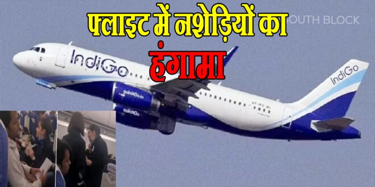 indigo flight