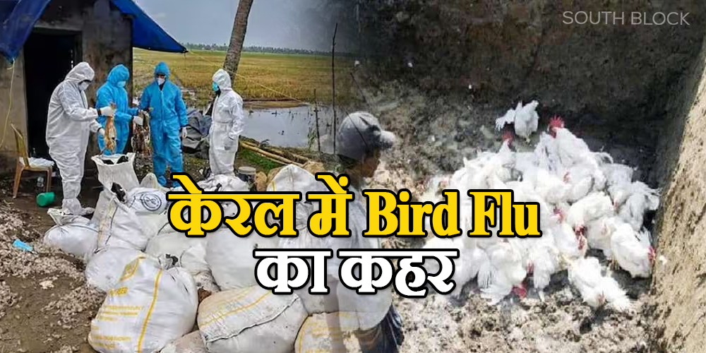 Bird Flu in kerala