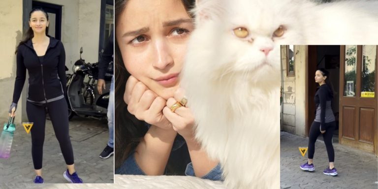 Alia Bhatt Transformation