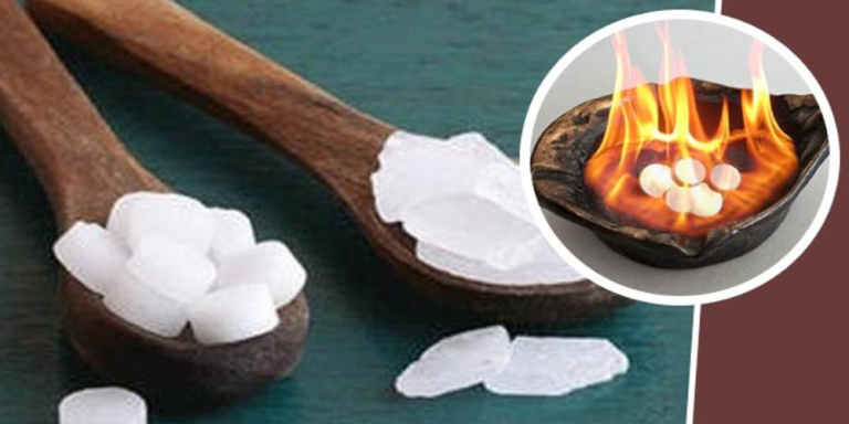 Camphor Health Benefits 
