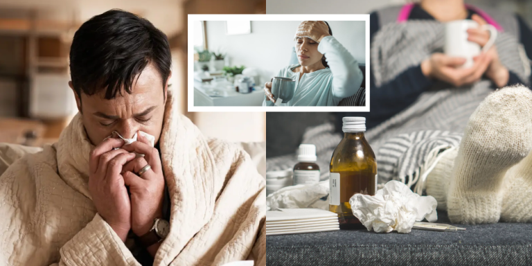 Seasonal Flu Prevention