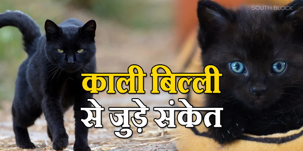 Superstitions about Black Cats