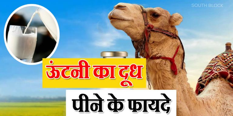 Camel Milk Benefits