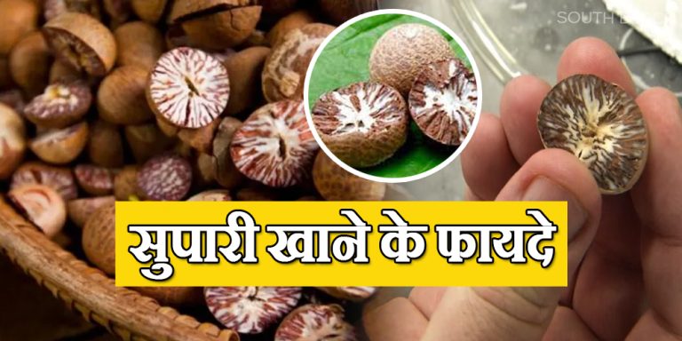 Betel Nut Benefits