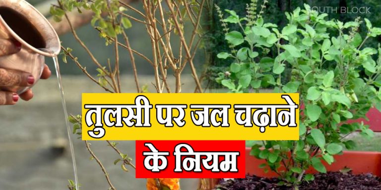 Tulsi Jal Arpan Rules