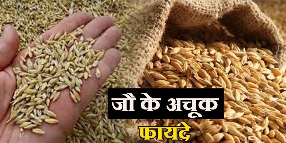 Barley Health Benefits