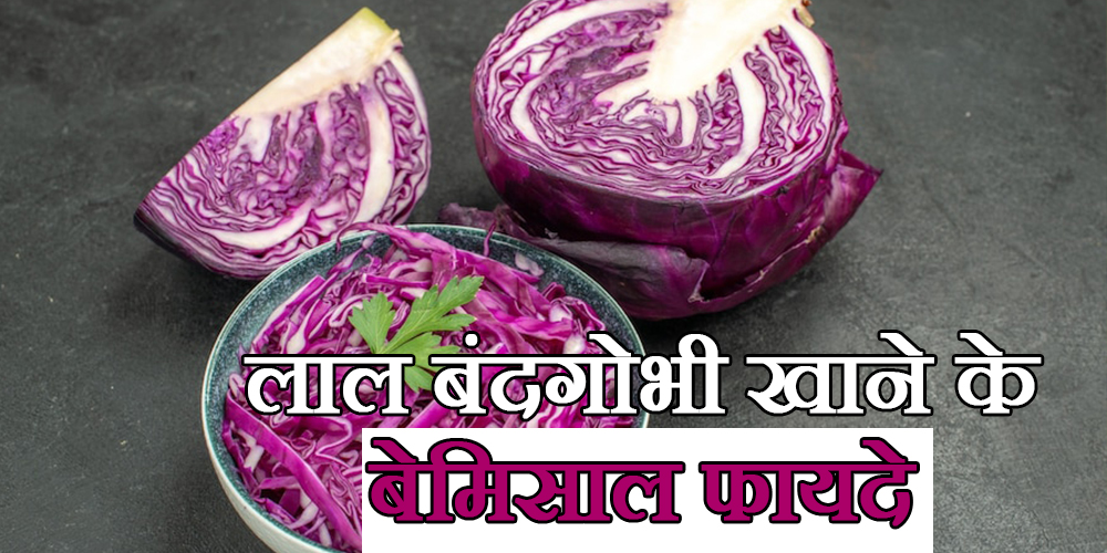Red Cabbage Health Benefits