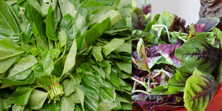 Amaranth Leaves Health Benefits