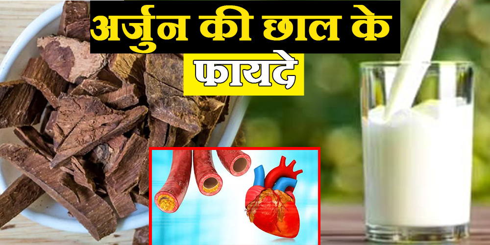 Arjun ki chaal benefits for cholesterol