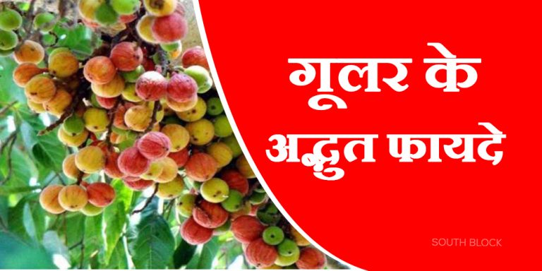 Cluster Fig Health Benefits