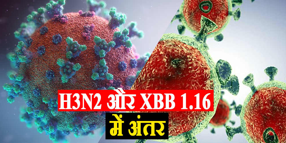 H3N2 and XBB 1.16 Symptoms
