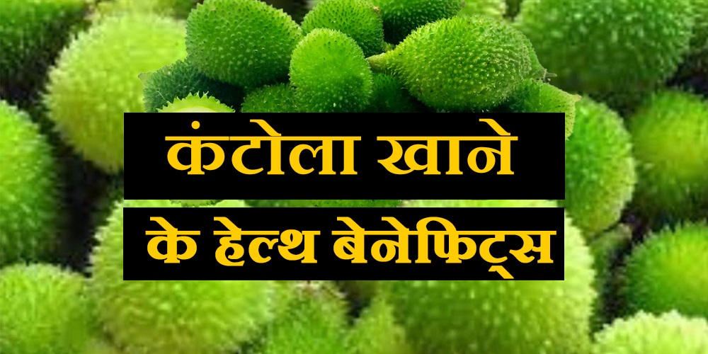 Spiny Gourd Health Benefits