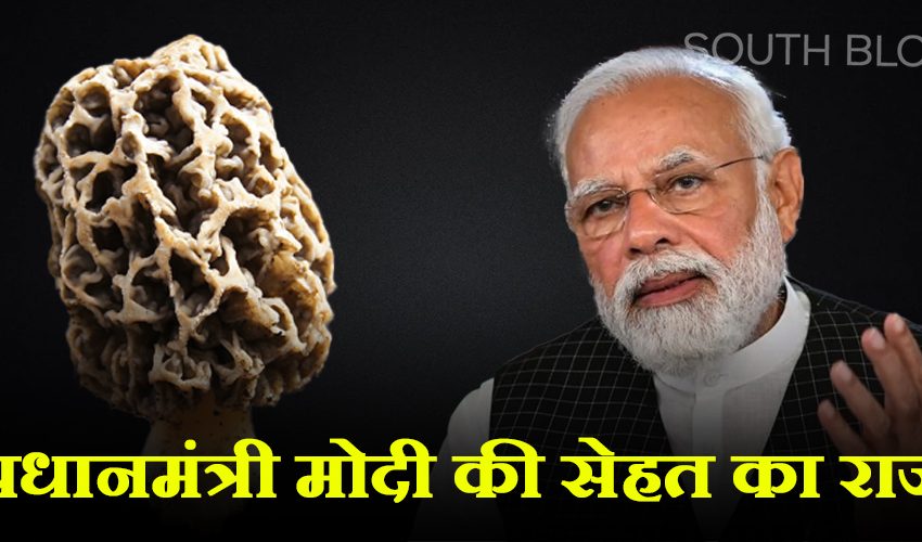  PM Modi Favourite dish : पीएम मोदी की पसंदीदा है ये विदेशी सब्जी, दाम जानकर हो जाएंगे हैरान