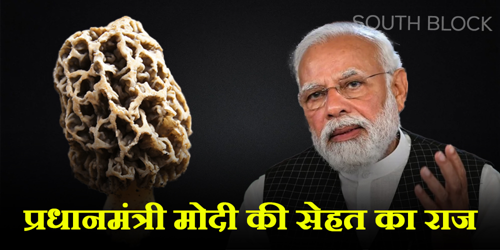 PM Modi Favourite dish