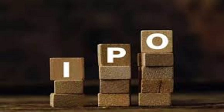 Indegene IPO