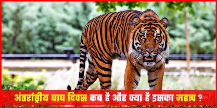 International Tiger Day In Hindi