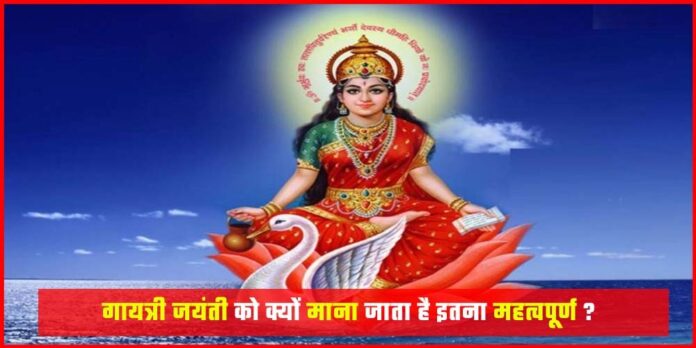 Gayatri Jayanti 2024 Date and Puja Vidhi