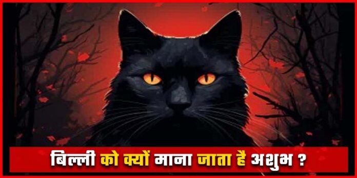 Cats in Jyotish Shashtra