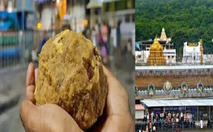 Tirupati Prashad Controversy