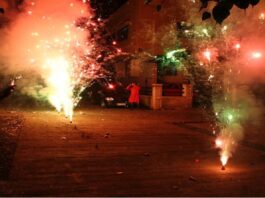 Firecrackers Ban in Delhi