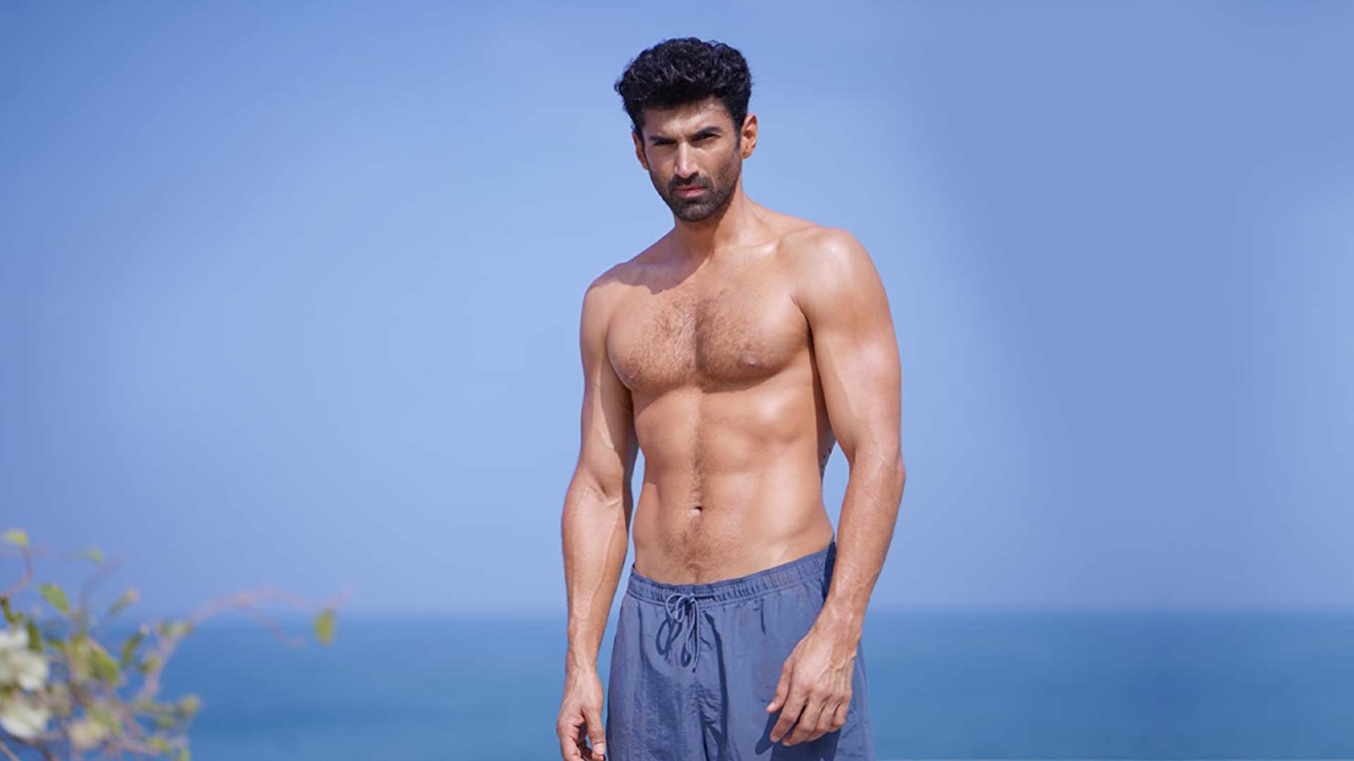 Aditya Roy Kapoor